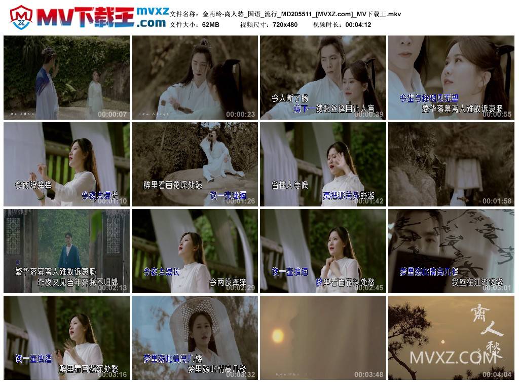 金南玲-离人愁_国语_流行_MD205511